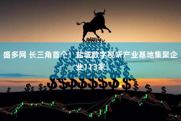 盛多网 长三角首个！盐城数字视听产业基地集聚企业113家