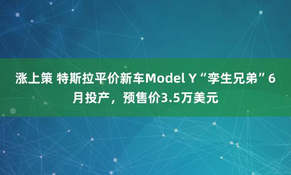 涨上策 特斯拉平价新车Model Y“孪生兄弟”6月投产，预售价3.5万美元