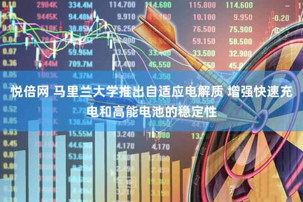 悦倍网 马里兰大学推出自适应电解质 增强快速充电和高能电池的稳定性