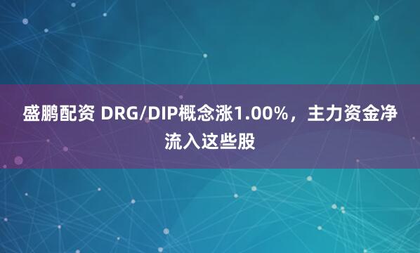 盛鹏配资 DRG/DIP概念涨1.00%，主力资金净流入这些股