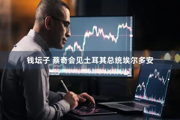 钱坛子 蔡奇会见土耳其总统埃尔多安
